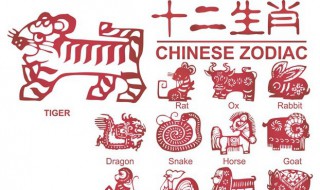 一九二六年是什么生肖 不记得了