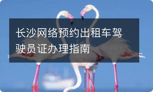长沙网络预约出租车驾驶员证办理指南