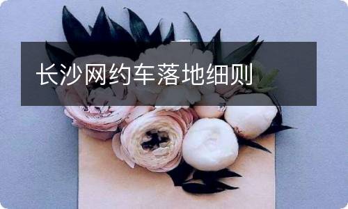 长沙网约车落地细则